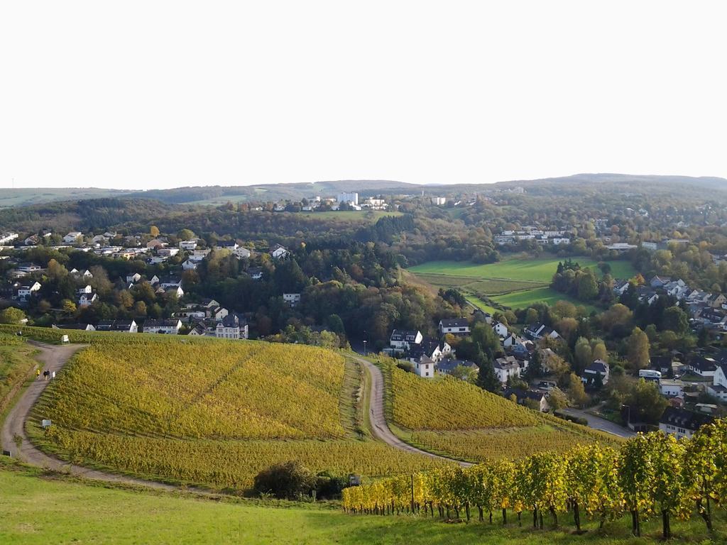 Saar-Mosel-Tal Apartment Konz Exterior photo